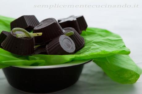 Cioccolatini fondenti al lime e zenzero