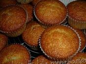 Muffin allo yogurt mirtilli zucchero canna