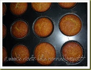 Muffin allo yogurt e mirtilli (9)