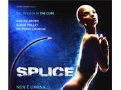 Splice