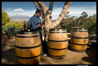 Il vino, e non solo, dal Sudafrica
