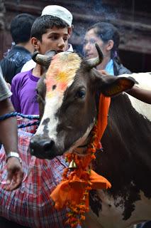 Gai Jatra: la festa colorata dei morti in Nepal