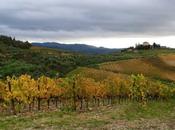 Colline Chianti