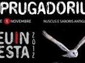 Festa prugadoriu Ottobre-1 Novembre SEUINmusica Seui