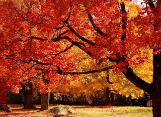 paesaggio autunnale