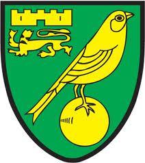 Norwich City FC Norwich City FC: primo flash del bilancio 2012