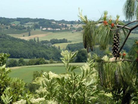 Uno splendido Chateau vicino Tolosa