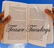 Teaser Tuesdays (84)