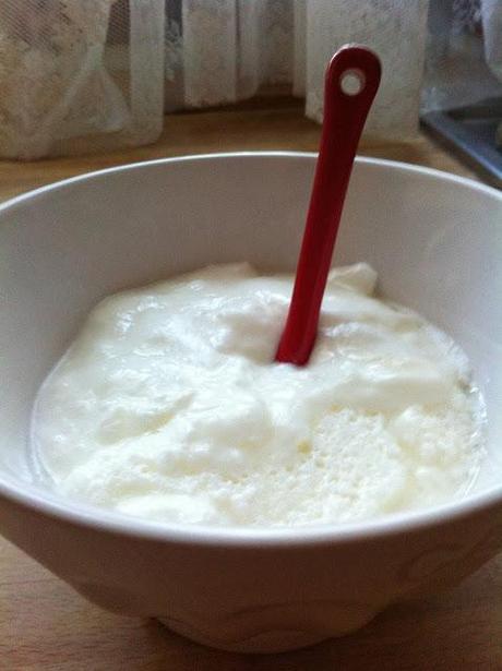 YOGURT HOMEMADE