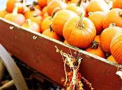 Halloween: storia, tradizioni, usanze “Dolcetto scherzetto?”