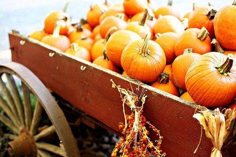 Halloween: storia, tradizioni, usanze e.. “Dolcetto o scherzetto?”