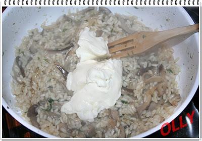 Risotto con pleurotus e squacquerone