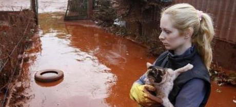 Disastro Ambientale Ungheria