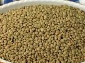 Lenticchie: proprietà curiosità