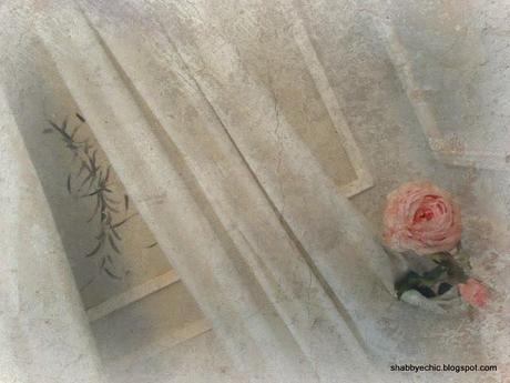 strane vite...strani amori...