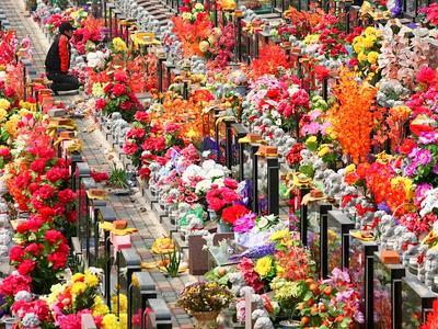 Pordenone: il racket dei fiori rubati al cimitero