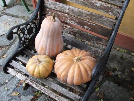 Budino di Zucca e Ricotta