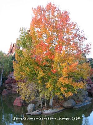 Sfumature d'autunno