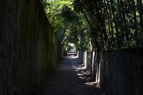 Back to the post: Boboli's Gardens part II (lost'nfound)