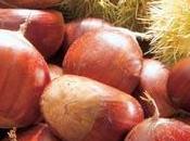 Sagra della Castagna Rocca Montemurlo