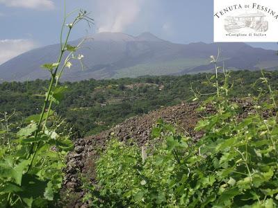 Etna DOC Bianco A’ Puddara 2010, “Grande Vino” Slow Wine 2013. La scheda dedicata a Tenuta di Fessina dalla Guida curata da Giancarlo Gariglio e Fabio Giavedoni