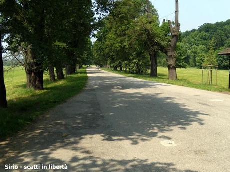 Il Viale dei Roveri diventerà museo