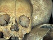 Vampiri d'Inghilterra