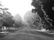 "Attesa" Raimond Carver