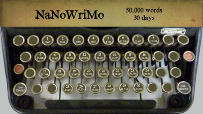 NaNoWriMo - Come stiamo andando..