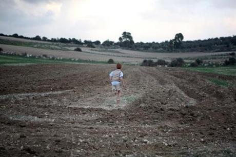 Le forme di Amos Gitai (parte II) – Carmel: maternità di terra e sangue