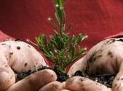 Love this time year..