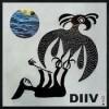 DIIV Doused Video Testo Traduzione