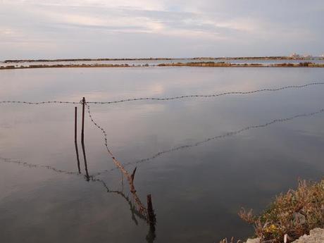 Da Trapani, novembre 2012