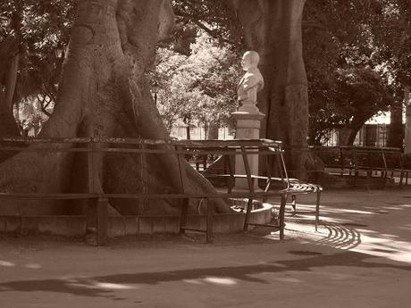 Da Trapani, novembre 2012