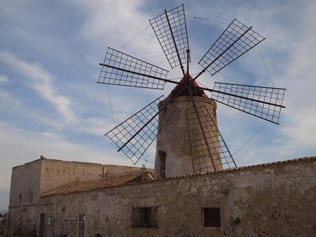 Da Trapani, novembre 2012