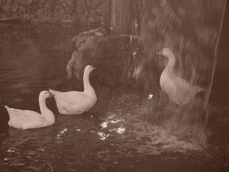 Da Trapani, novembre 2012