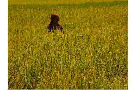 Il mio viaggio in Nepal