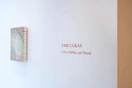 Emil Lukas: Curvature