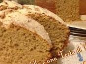 Chiffon cake arancia cioccolato latte