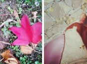 Instagram Week.
