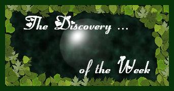 The Discovery Of The Week n°9