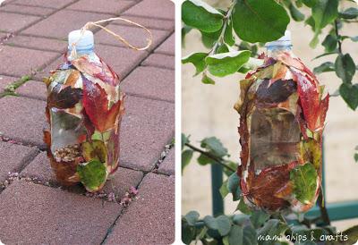 Casetta per gli uccellini da bottiglia di plastica