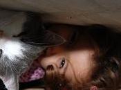 semb'ato vede'e gatto...