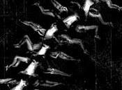 Human Centipede Full Sequence 2011