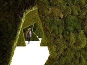 Muschio Design