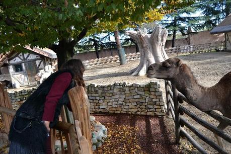 Al BIOPARCO!Come i bimbi!