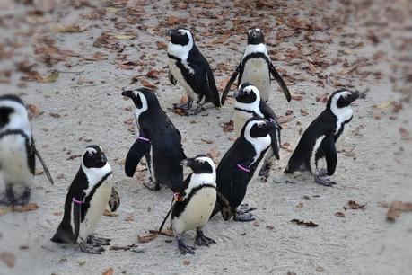 Al BIOPARCO!Come i bimbi!