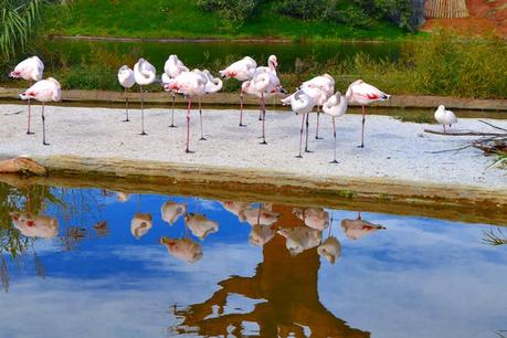 Al BIOPARCO!Come i bimbi!