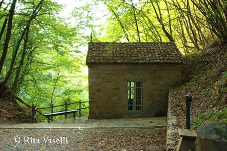 L'EREMO DI SANT'ALBERTO DI BUTRIO