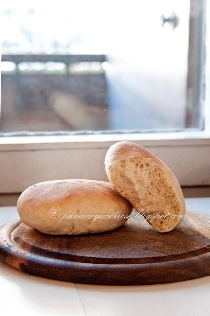 Panini da hamburger (Hamburger's bread rolls)